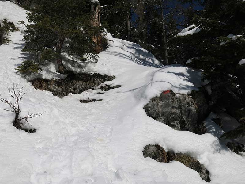 Buchbergkogel